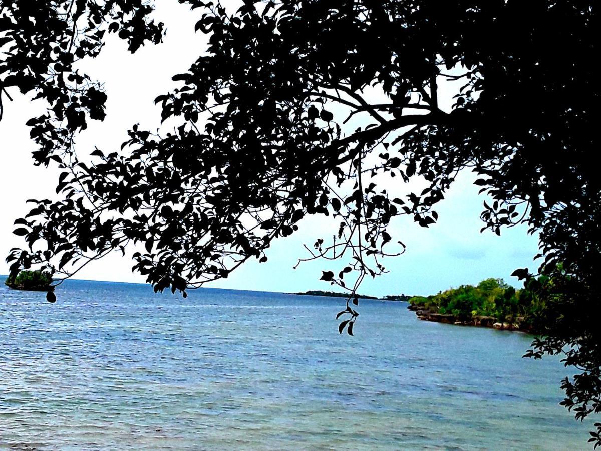 Adayo Cove Resort Siquijor Exterior photo